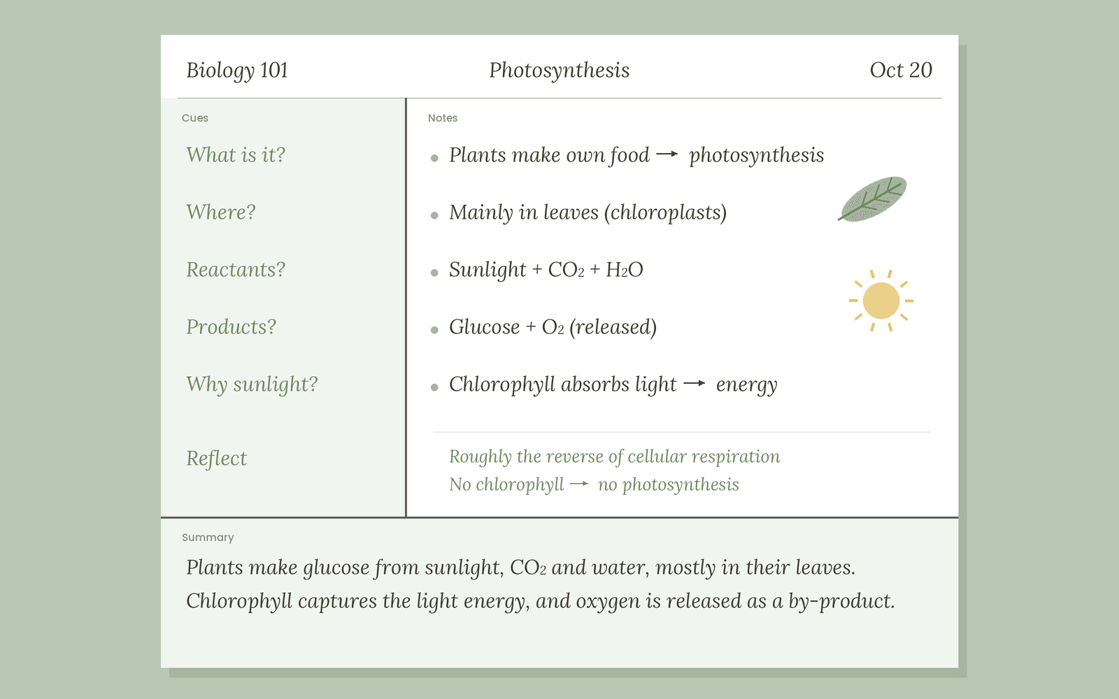 cornell-notes-example-photosynthesis