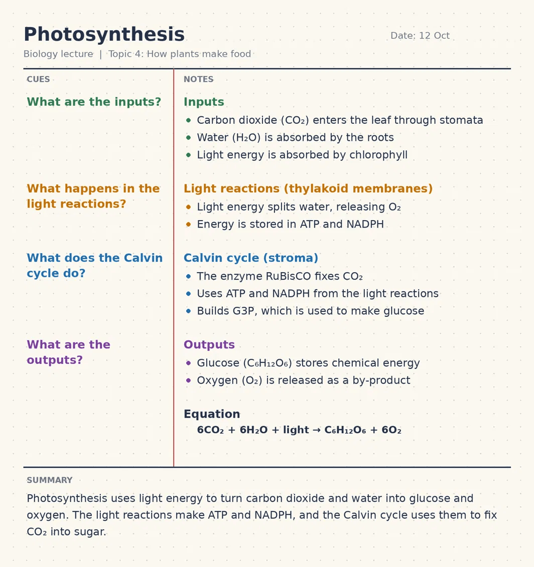 cornell-notes-example-photosynthesis