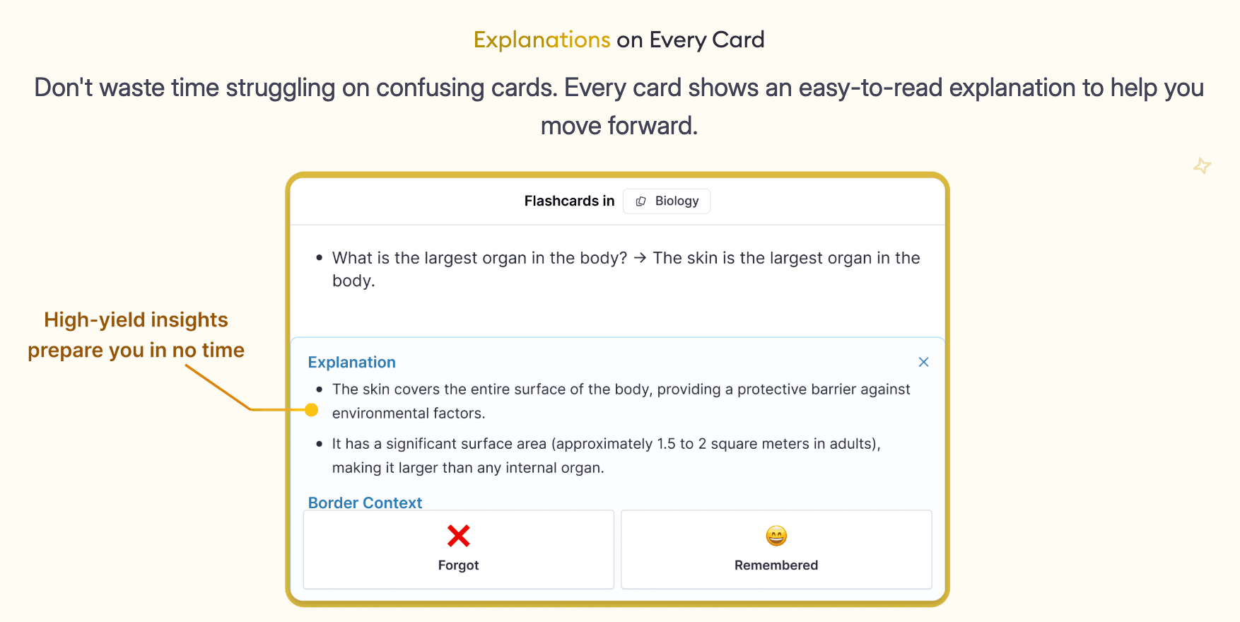 Flashcard explanation in RemNote.