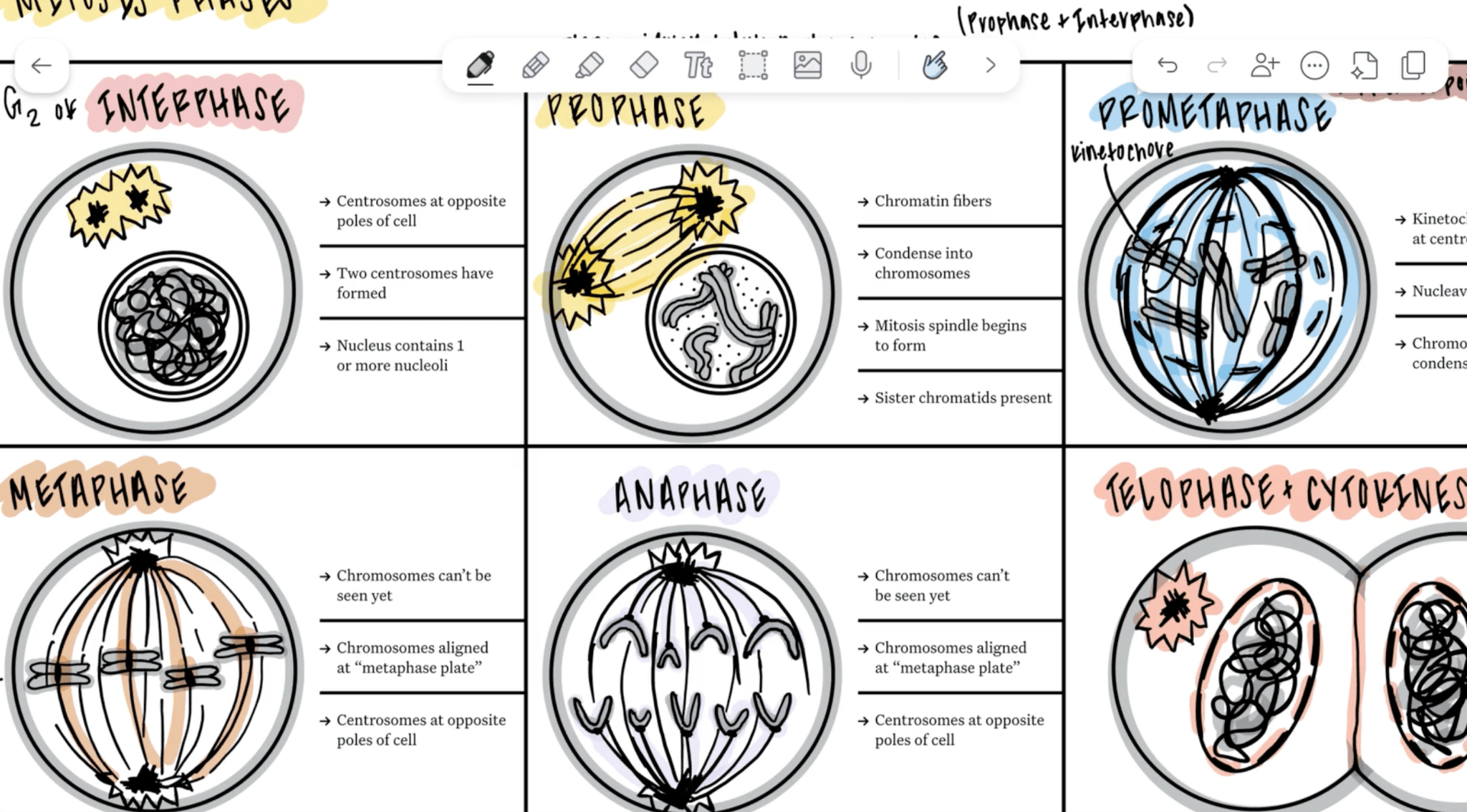 Notes screen in Notability.