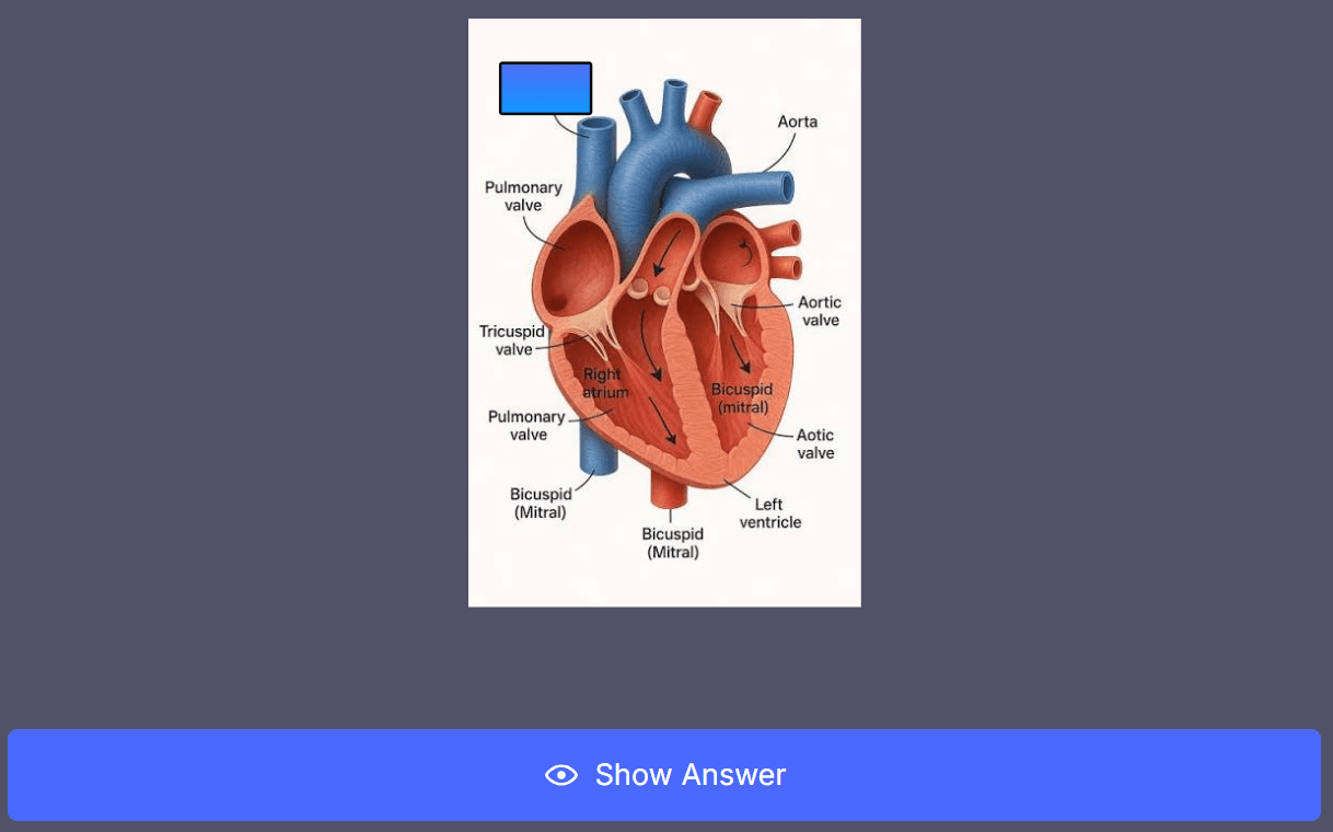 Image flashcard.