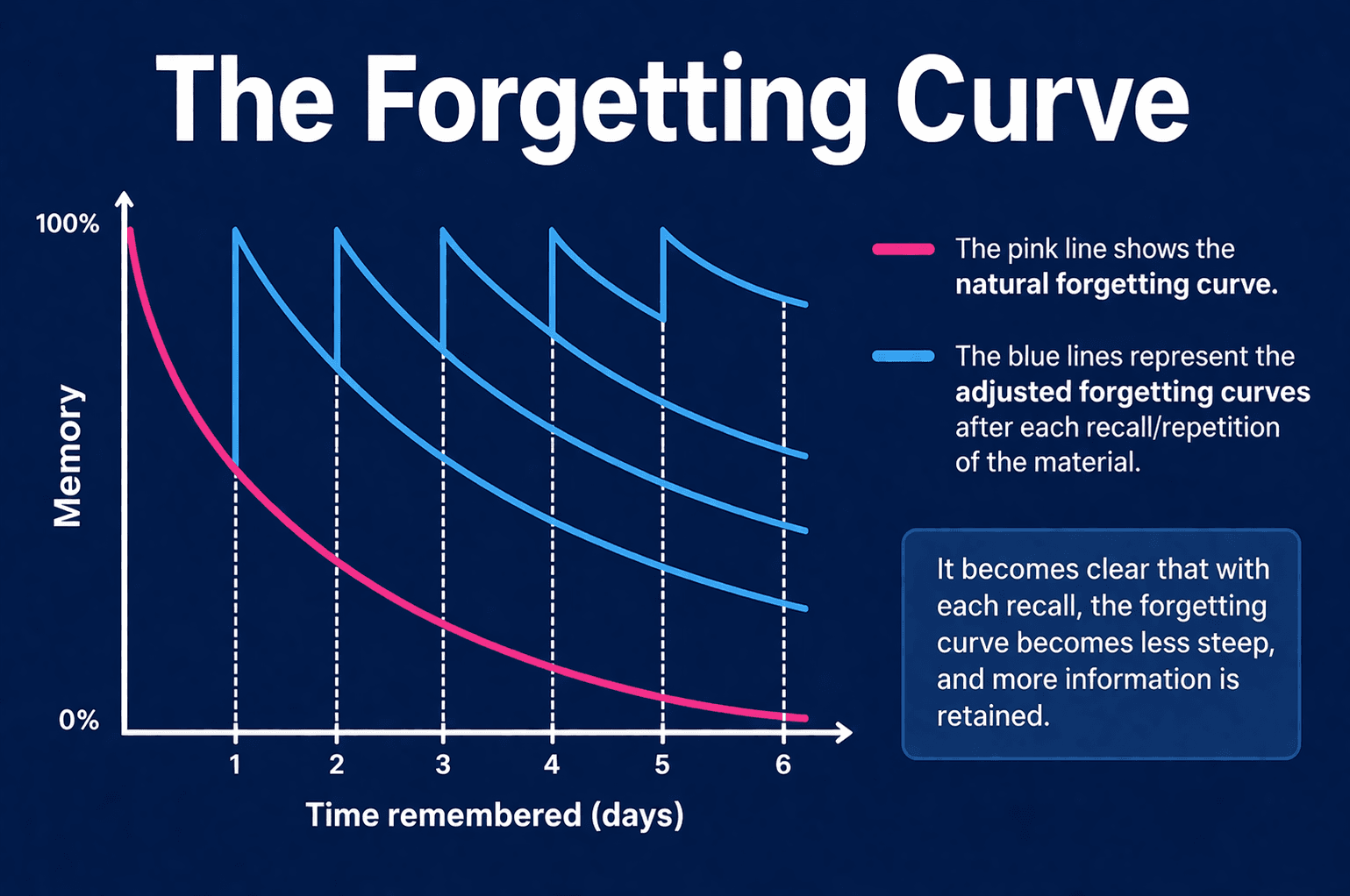 The forgetting curve.