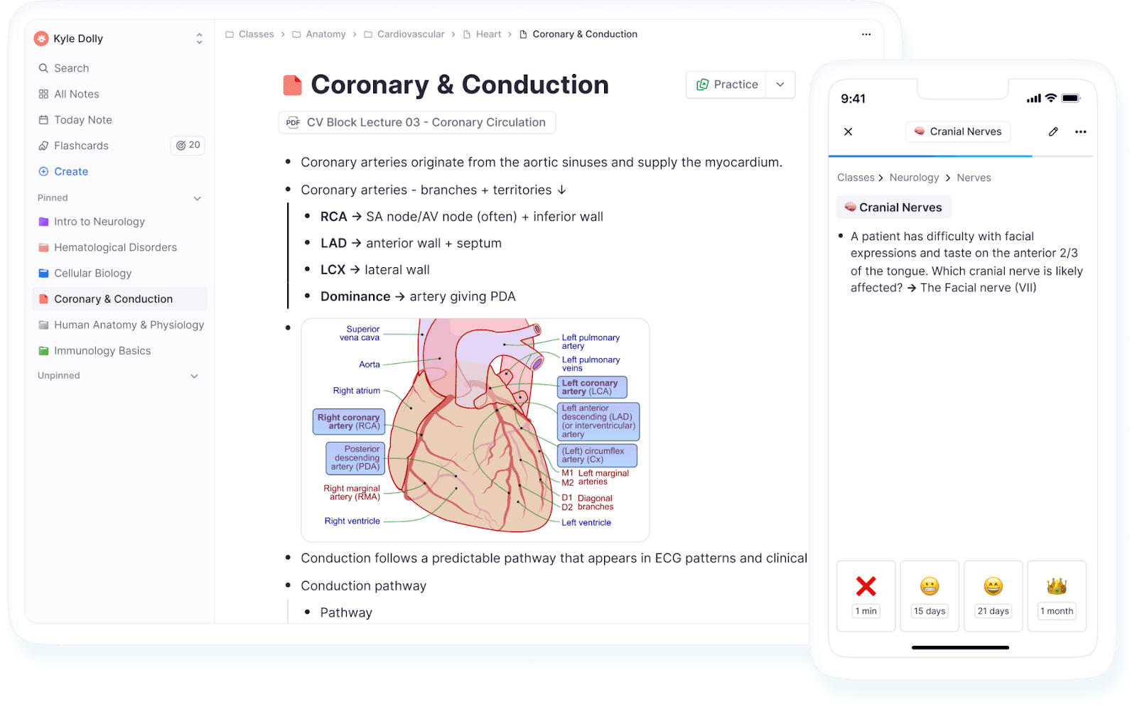 Notes screen in RemNote.