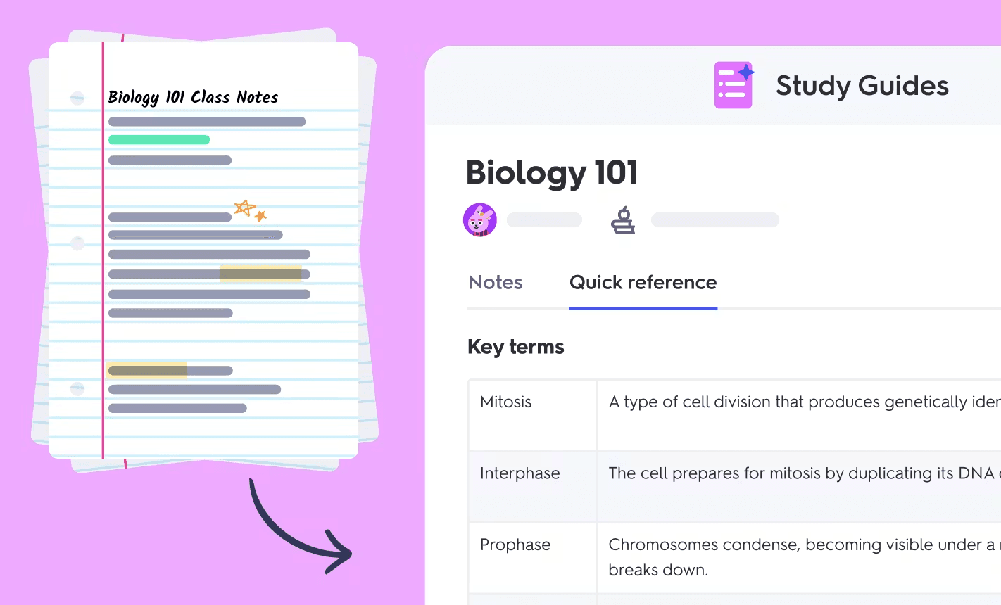 Quizlet study guide.