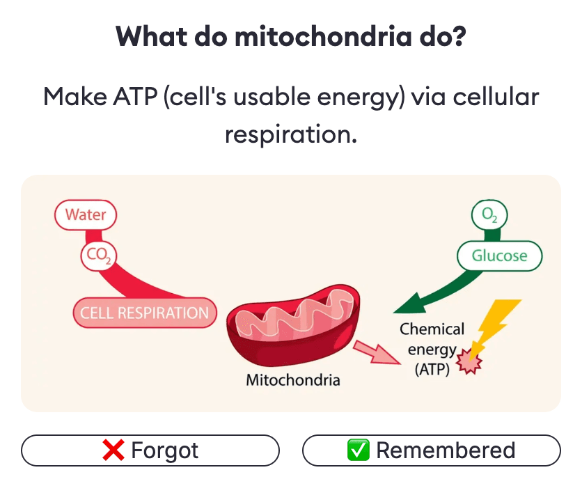 Flashcard in RemNote.